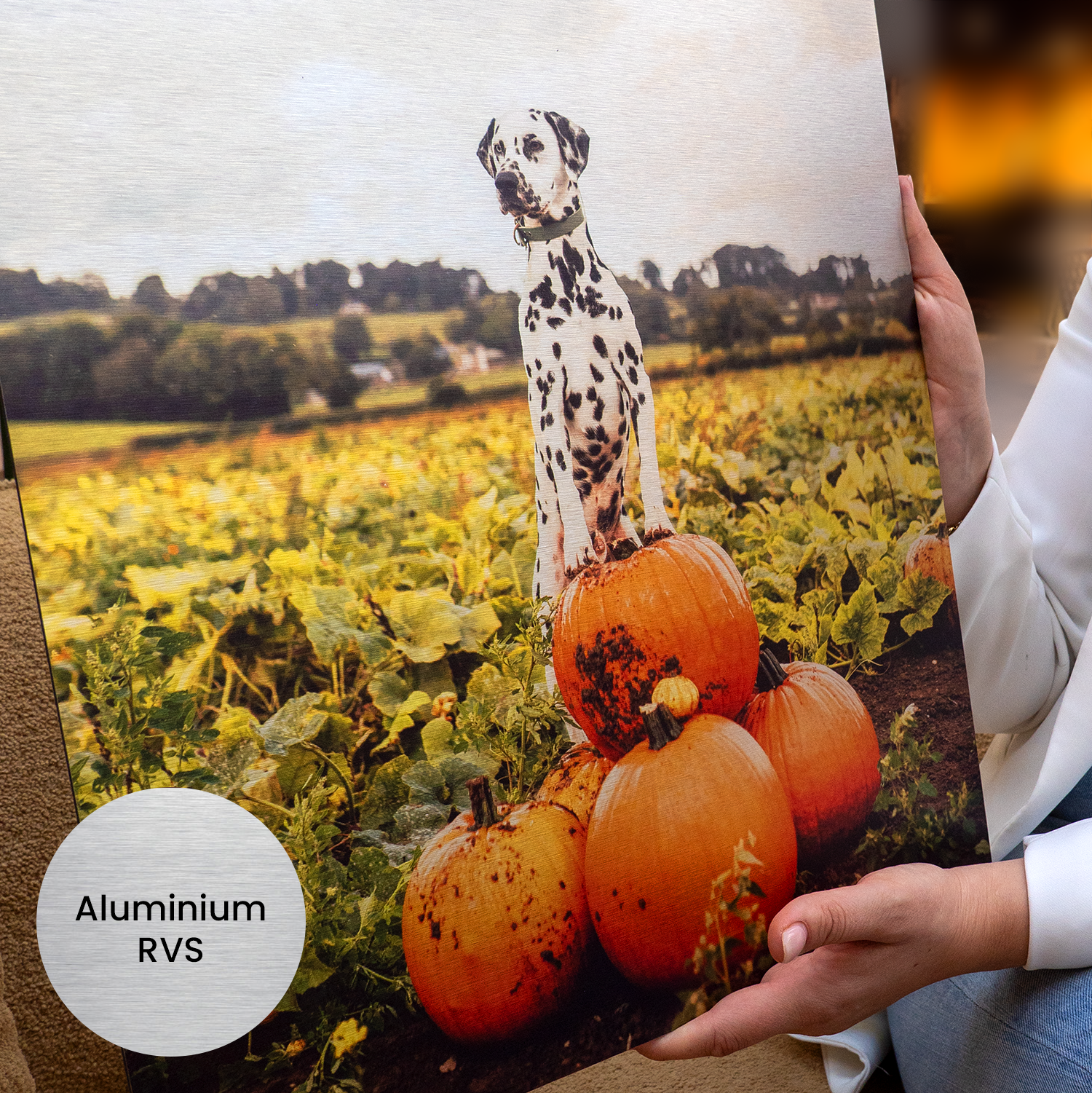 Foto op Aluminium Geborsteld - RVS Look customizable bigfreddy-shop