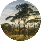 BigFreddy® Umbrella Pines Dibond Rond  bigfreddy-shop