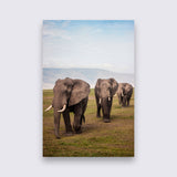 Aluminium -  Elephant Family  bigfreddy-shop