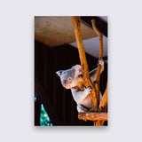 Aluminium - Koala bigfreddy-shop 50x70 cm Blind kunststofophangsysteem dbw-058-50x70-mko