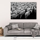 Aluminium RVS - Kudde schapen  bigfreddy-shop