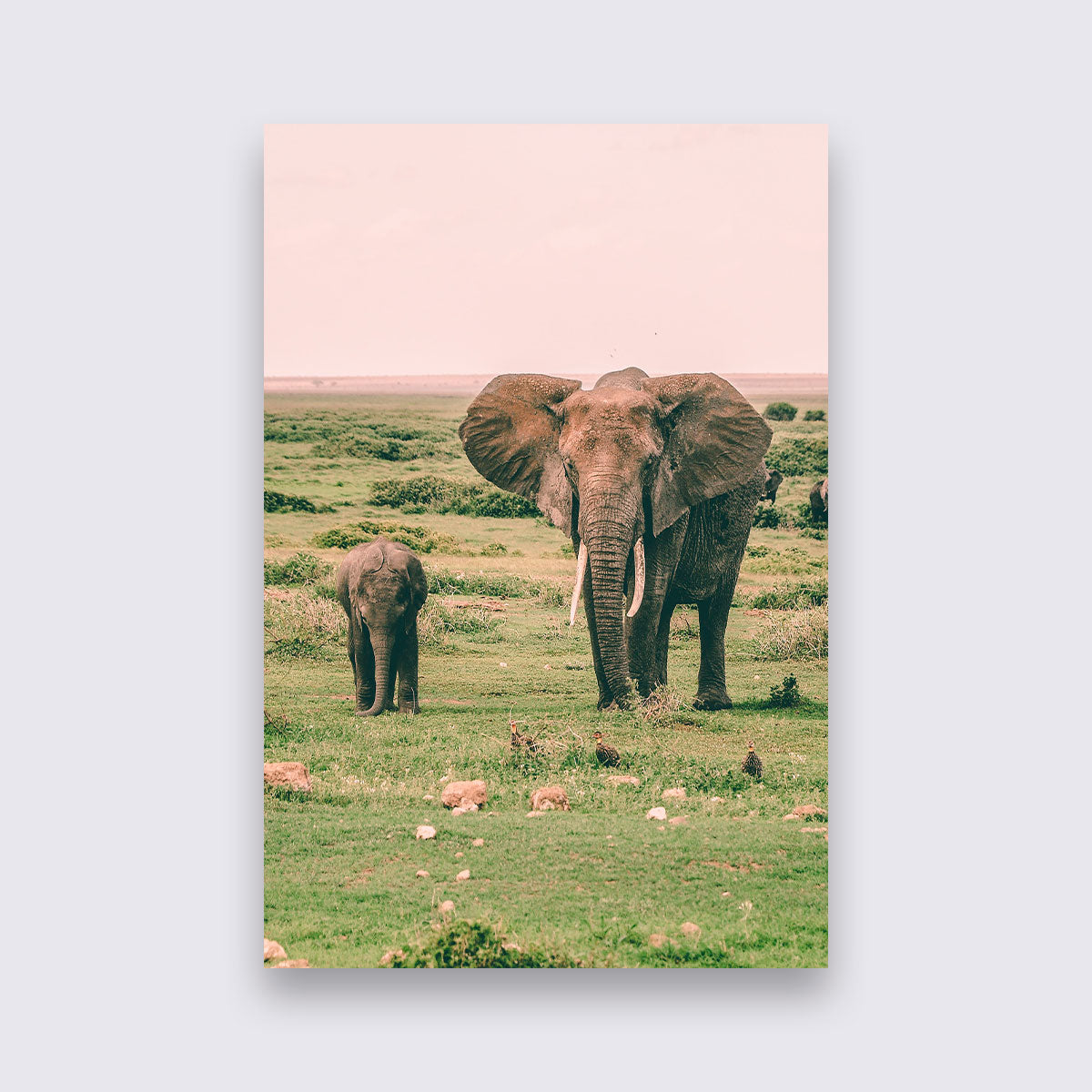 Aluminium - Olifanten bigfreddy-shop 50x70 cm Blind kunststofophangsysteem dbw-050-50x70-mko