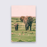 Aluminium - Olifanten bigfreddy-shop 50x70 cm Blind kunststofophangsysteem dbw-050-50x70-mko