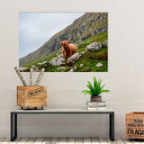 Aluminium - Schotse Hooglander  bigfreddy-shop