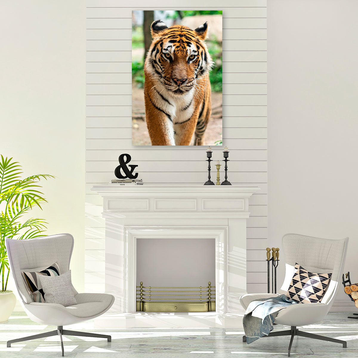 Aluminium -  Tijgers  bigfreddy-shop