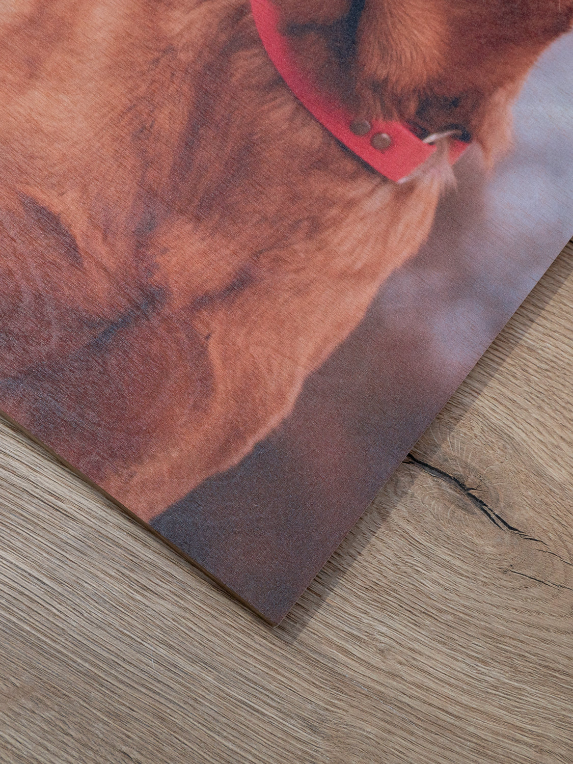 Foto op Hout 18mm customizable bigfreddy-shop