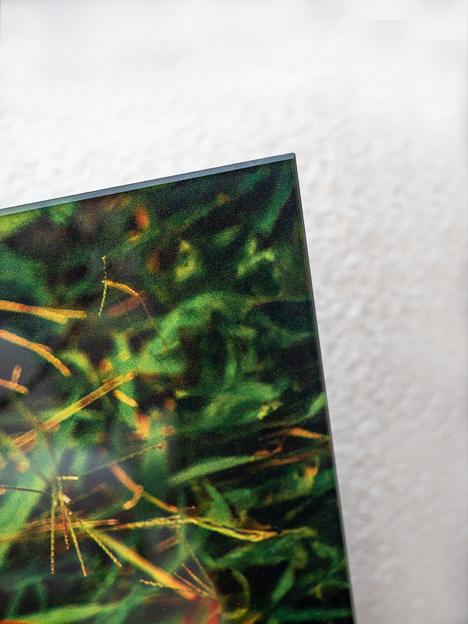 Foto op Glas customizable bigfreddy-shop