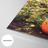 Foto op Aluminium Wit customizable bigfreddy-shop