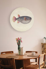 BigFreddy® Blowfish Akoestisch Rond bigfreddy-shop Ø 40 cm Met gratis magnetisch ophangsysteem akp-003-40x40-r-mozm