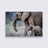 Aluminium - Awesome Elephant  bigfreddy-shop 70x50 cm Blind kunststofophangsysteem 