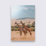 Aluminium - Giraffen  bigfreddy-shop 50x70 cm Blind kunststofophangsysteem 