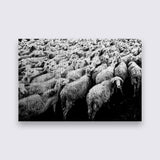 Aluminium RVS - Kudde schapen  bigfreddy-shop 70x50 cm Blind kunststofophangsysteem 