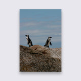 Aluminium - Pinguin  bigfreddy-shop 50x70 cm Blind kunststofophangsysteem 