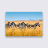 Aluminium - Zebra  bigfreddy-shop 70x50 cm Blind kunststofophangsysteem 