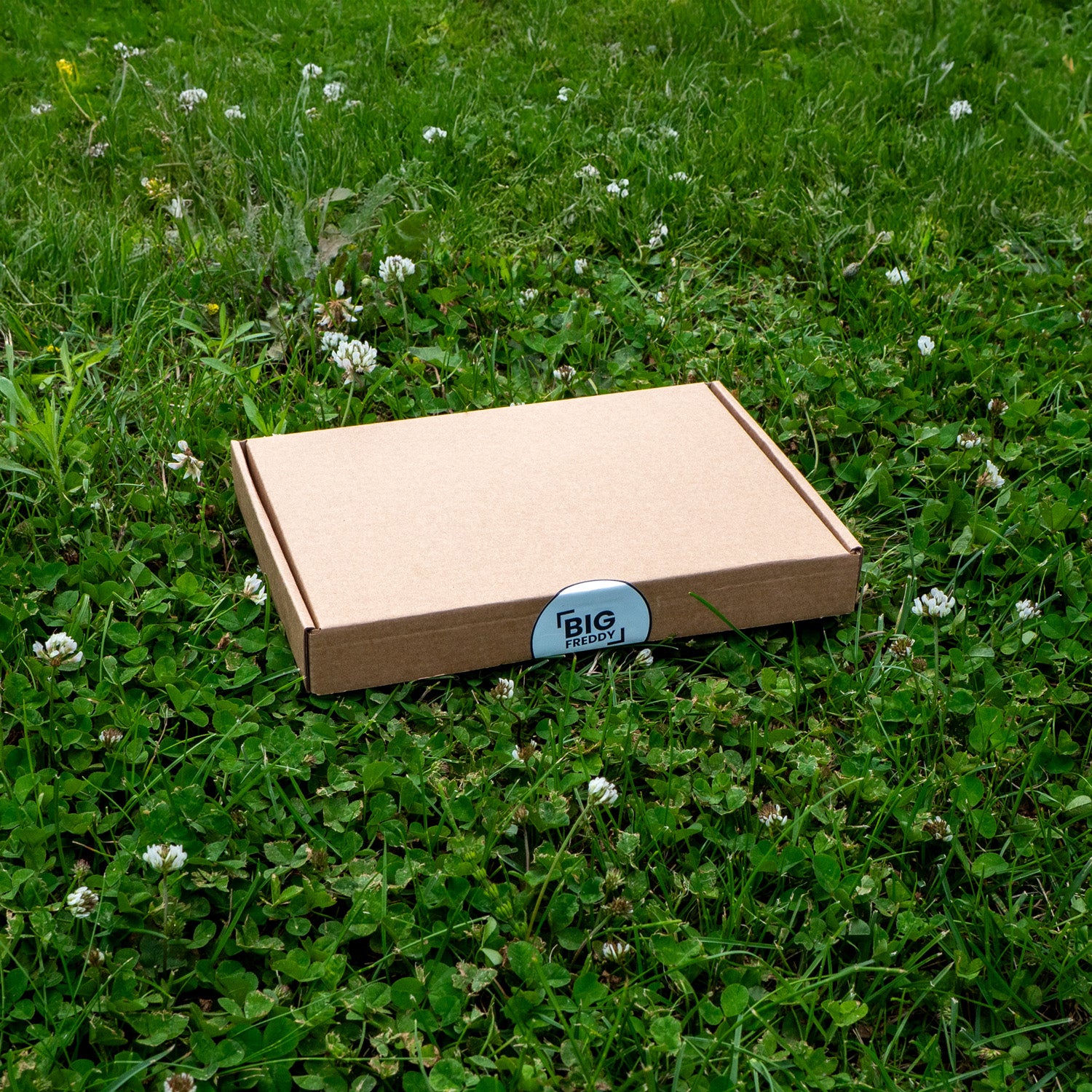 BigFreddy Sample box BigFreddy