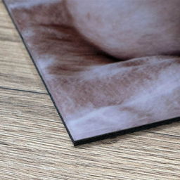 Plexiglas Fine Art - 100x70 cm - Plexiglas Fine Art Glossy - 2x Blind Metalen Ophangsysteem generated generated